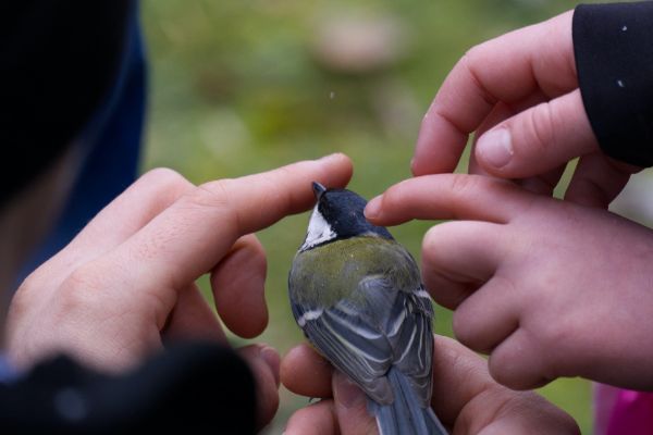 bambini che giocano con uccellino